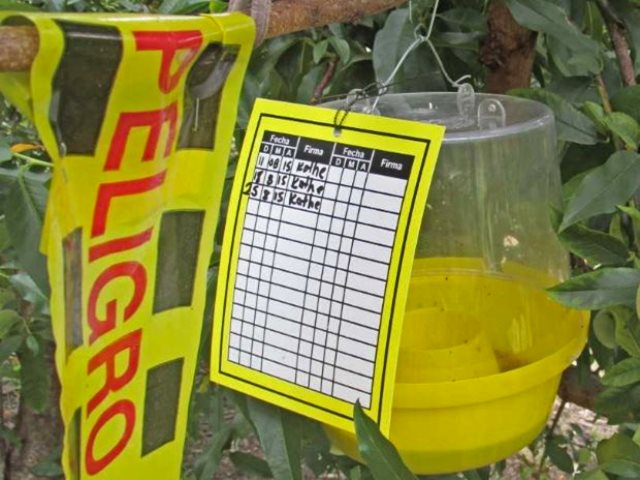 El ICA acompaña a productores agrícolas de la Sierra Nevada para evitar emergencia fitosanitaria