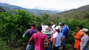 Antioquia-1.jpg
