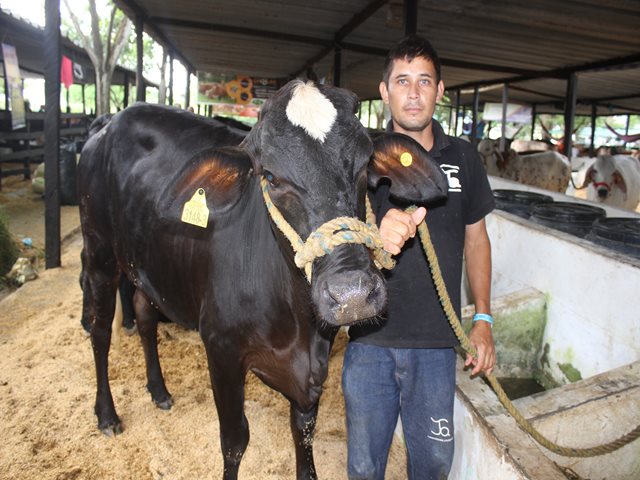 El ICA autorizó y expidió medidas para salvaguardar la sanidad en la III Feria Agroindustrial y Ganadera B “Bolívar Sí Avanza” 