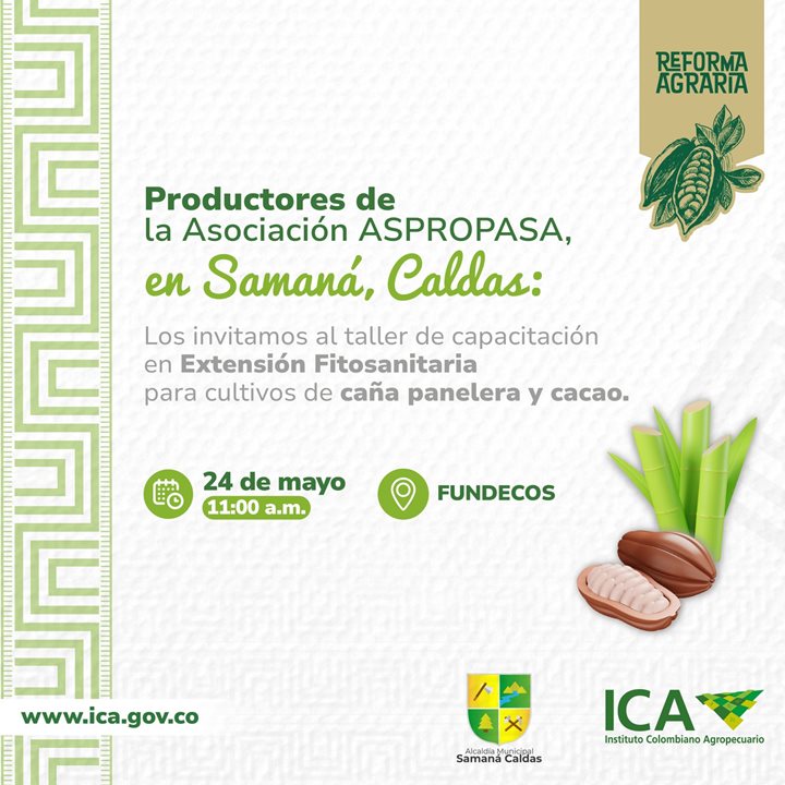 Samana.jpeg