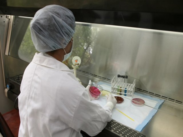 En tiempo record, laboratorio ICA procesó 11.620 pruebas de sanidad ha ganado listo para exportar a Jordania y al Líbano