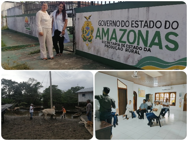 Supervisión al primer ciclo de vacunación contra la fiebre aftosa y brucelosis bovina en Amazonas