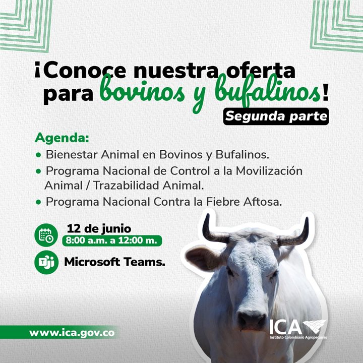OFERTA-BOVINA-Y-BUFALINA.jpeg