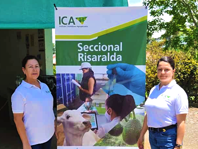En Risaralda, día de campo con productores para reforzar actividades de prevención y erradicación del moko del plátano 