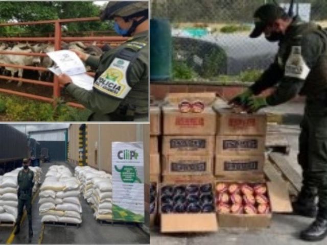 El CIIIP incautó más de $141 millones en productos agropecuarios de contrabando 
