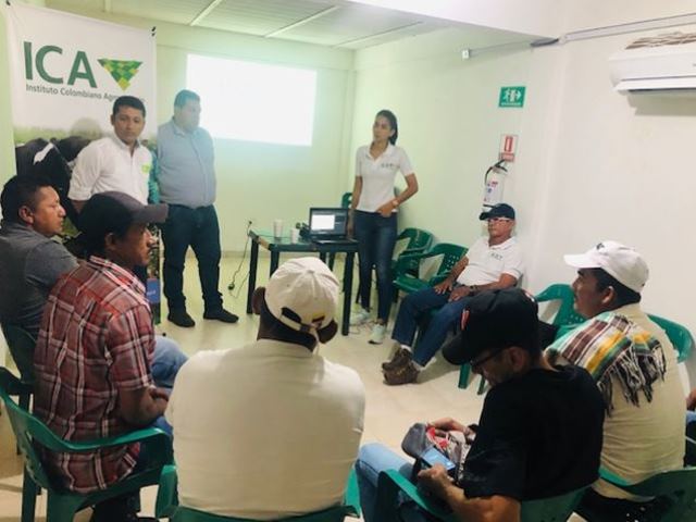 El ICA y Fedegán trabajan articulados por la ganadería del Vichada