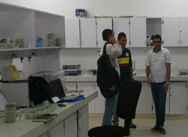 El ICA y la Universidad de Sucre trabajan en la implementación de convenio de investigación microbiológica en maíz 
