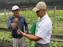 Vivero-01.jpg Vivero-01.jpg