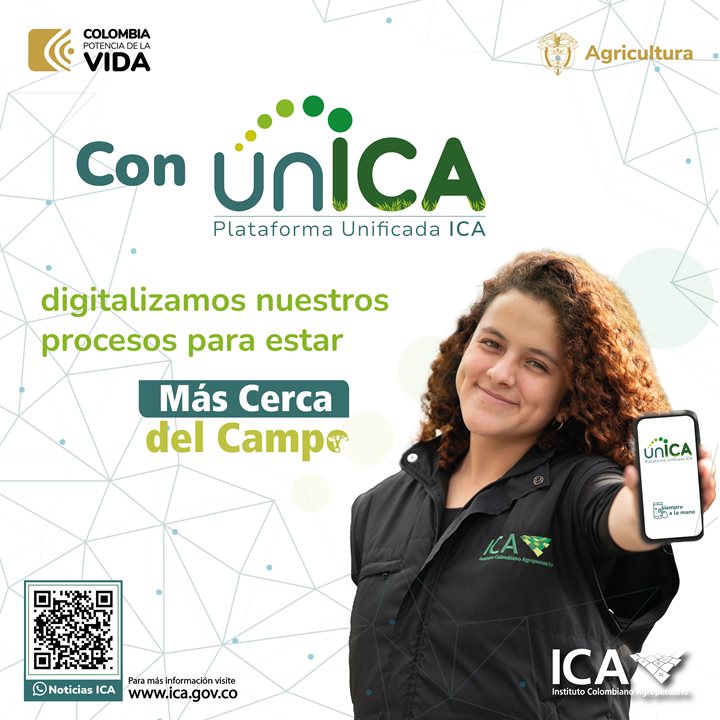 Piezas-unica-2_Mesa-de-trabajo-1.jpg