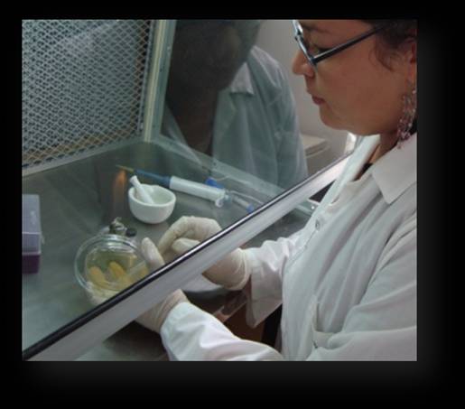 Se fortalece  la Red de Laboratorios del ICA en el Tolima