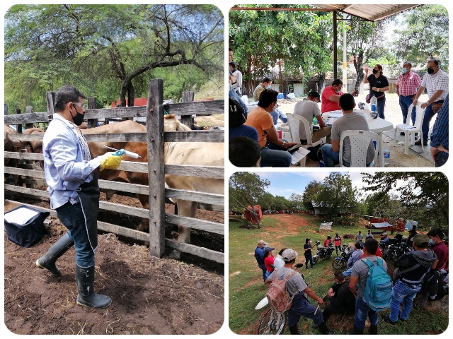 El ICA realiza seguimiento al ciclo de vacunación contra la fiebre aftosa en Cundinamarca  