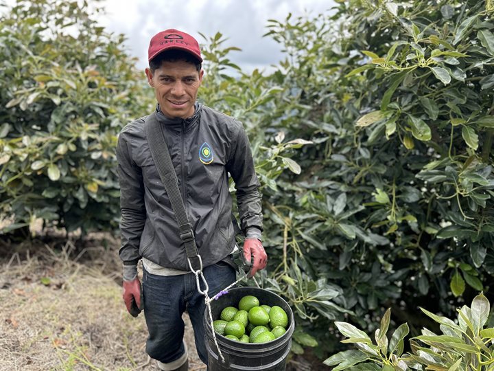 QUINDIO-ICA-7072025.jpeg