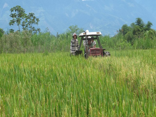 El ICA socializa en Villavicencio el proyecto de resolución que reglamentará la producción y comercialización de semillas en Colombia