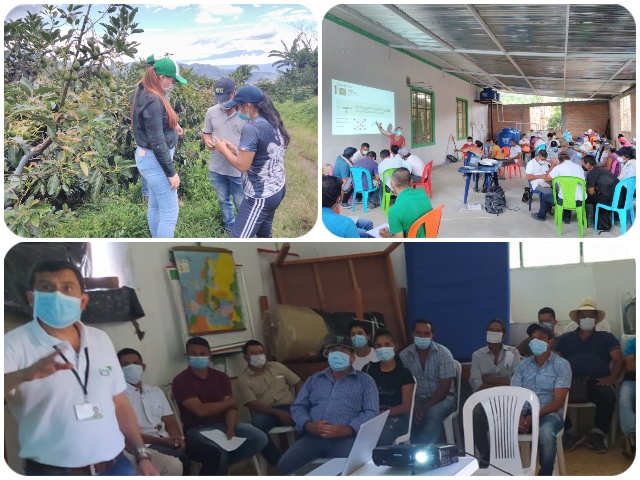 Productores agrícolas de Nariño se capacitan con el ICA en manejo integrado de plagas