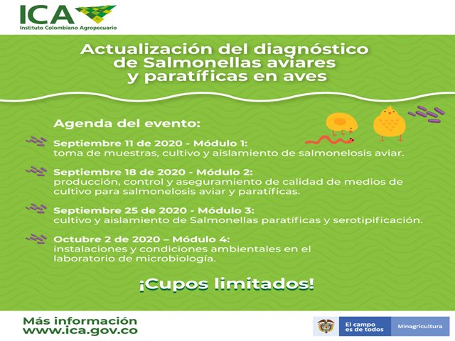 El ICA invita al taller virtual para la actualización del diagnóstico de Salmonellas aviares y paratíficas en aves