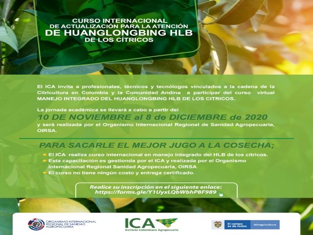 Invitación taller.