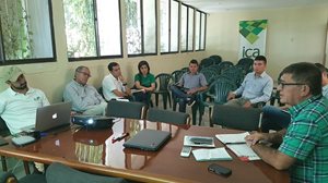 Algodon-Tolima-1.jpg