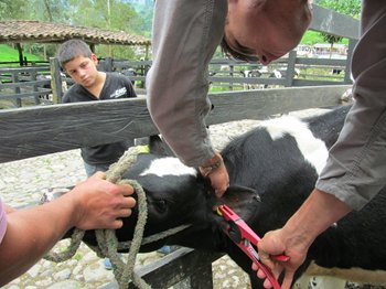 IMG_0531.JPG