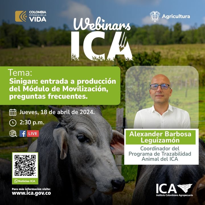 WEBINAR.jpeg