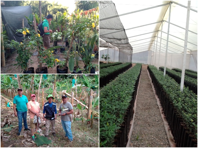 Viveristas de Risaralda se apoyan en el ICA para ofrecer calidad y competitividad en sus viveros