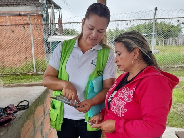 Medidas sanitarias mantienen al Quindío libre de roya blanca del crisantemo