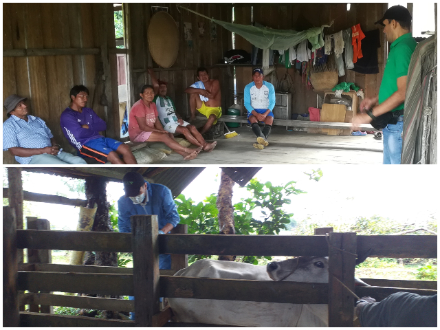 Comunidades indígenas del Vaupés fortalecen su conocimiento en enfermedades de control oficial