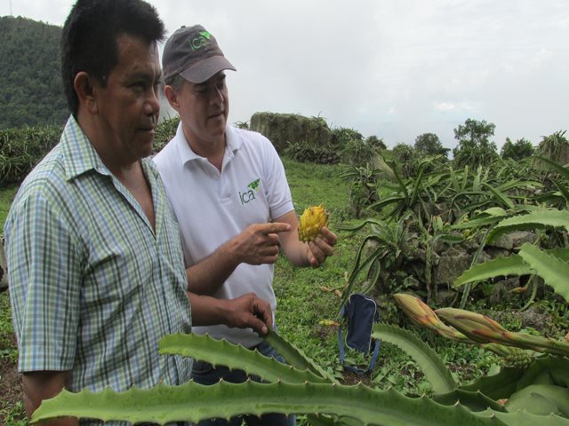 Con la certificación de 151 nuevos predios en Buenas Prácticas Agrícolas, la producción primaria del país sigue su buen rumbo 