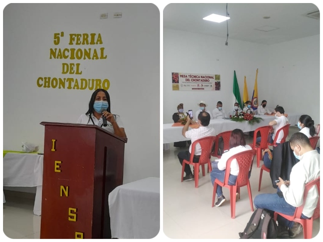 Foto-ICA-Asistentes-a-la-mesa-tecnica-1.jpg Foto-ICA-Asistentes-a-la-mesa-tecnica-1.jpg