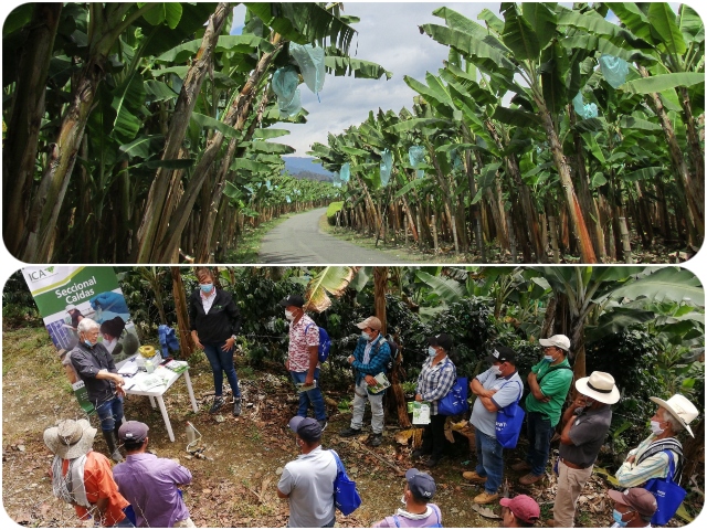 Productores en capacitación ICA. 