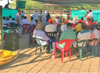foto-2-segundo-mercado-ganadero.jpg