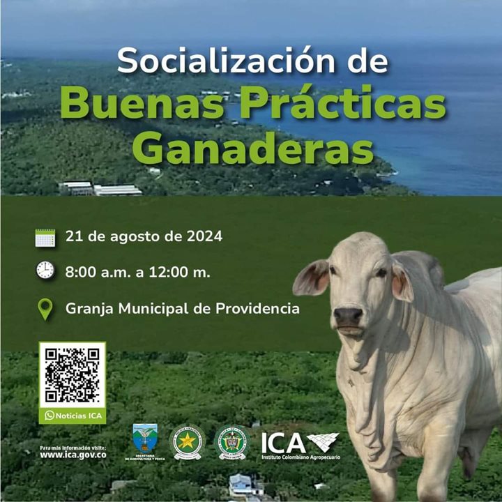 SANANDRES3.jpeg