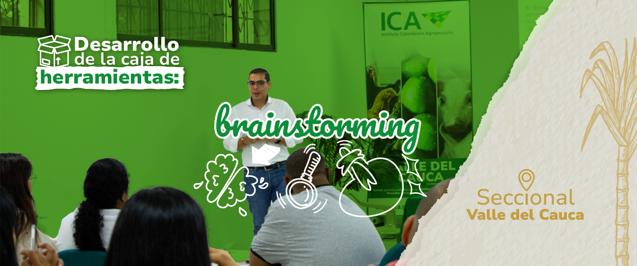 Visita Valle - Caja de Herramientas - Brainstorming