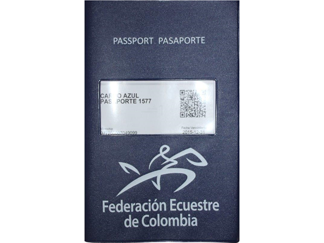 Los caballos deportistas tienen su Pasaporte Equino 