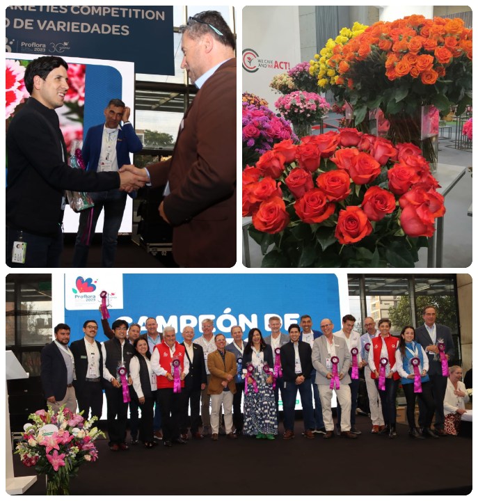 ICA-PROFLORA-COLLAGE-B-051023.jpg