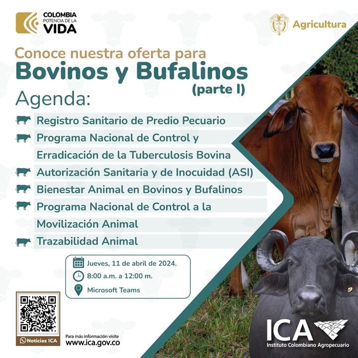 Oferta-Institucional-bovina-y-bufalina-redes.jpg