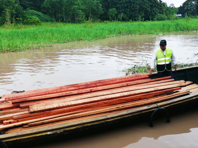 La madera, en el ojo del ICA en el Amazonas 