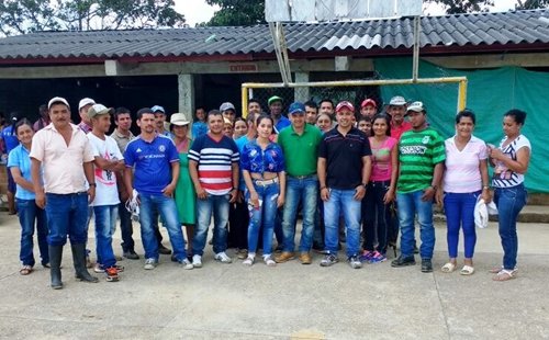 Picudo_Negro_Cauca-1.JPG