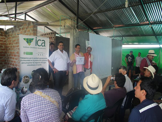 El ICA certificó 20 predios como libres de brucelosis bovina en el Tolima 