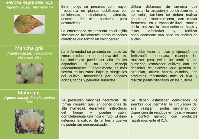 Imagen-02.jpg
