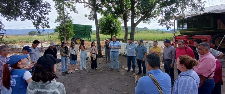 ICA-TOLIMA-14082026.jpg ICA-TOLIMA-14082026.jpg