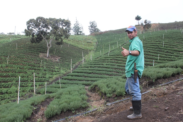 Vence plazo para actualizar el registro ICA como predio productor de frutas, hortalizas y aromáticas para exportación 