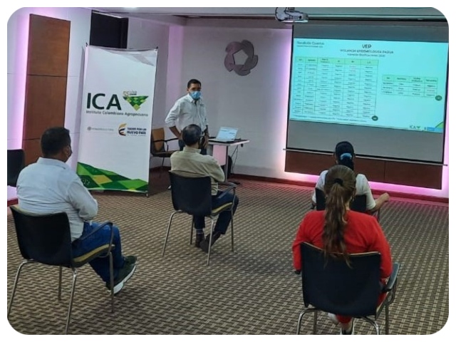 El ICA y productores de Santander mantienen la buena salud avícola de la región 