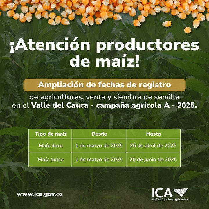 FECHAS-SIEMBRA-MAIZ-VALLE.jpg