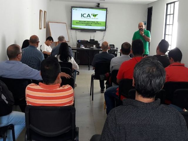 El ICA capacita a funcionarios de los Puntos de Servicio al Ganadero en el Valle del Cauca 