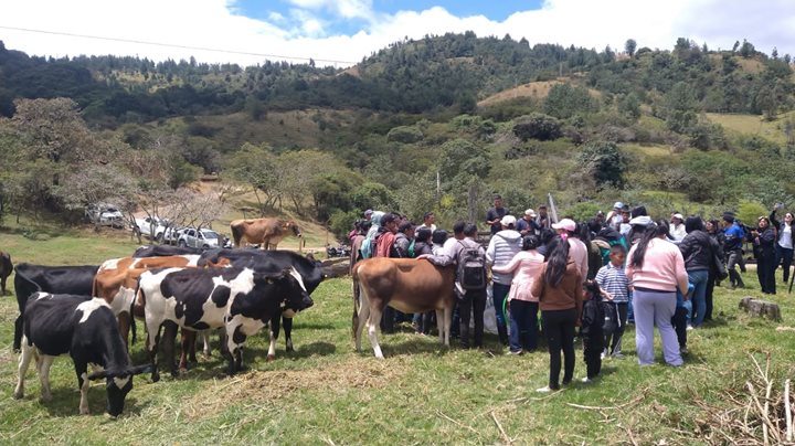 ICA-CAUCA-2102025.jpeg