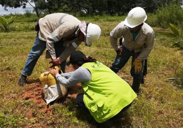 Predios productores de palma de aceite en Sucre, trabajan para registrarse ante el ICA 