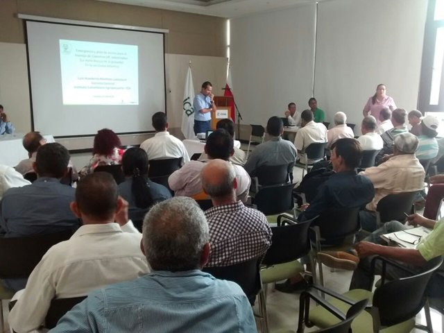 El ICA presentó plan de choque contra la mota blanca de la guayaba