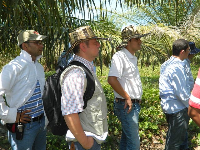 ICA entregó feromonas para controlar el insecto que ataca a los cultivos de Palma de Aceite