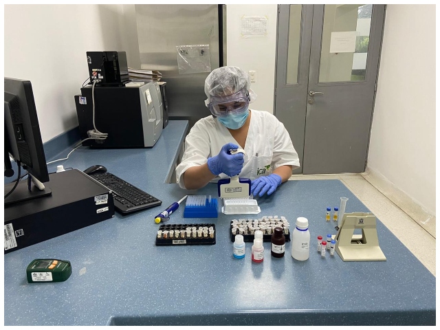 Laboratorio de Diagnóstico Veterinario del ICA en Barranquilla un aliado para el sector porcicultor  