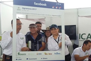 Agronova-3.jpg Agronova-3.jpg